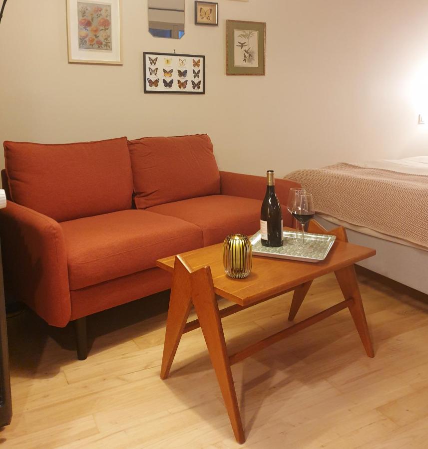 Maisonnette Cosy Coeur Centre Avec Accueil Velo 索米尔 外观 照片